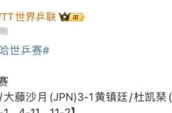 澳客竞彩网首页官网-华尔夫斯堡战胜对手，积分持续攀升