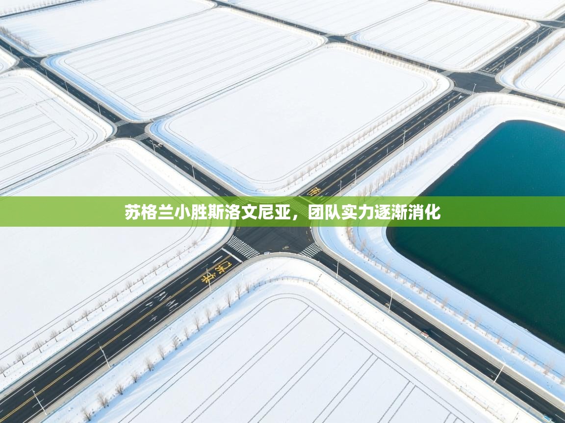 苏格兰小胜斯洛文尼亚,团队实力逐渐消化 第2张