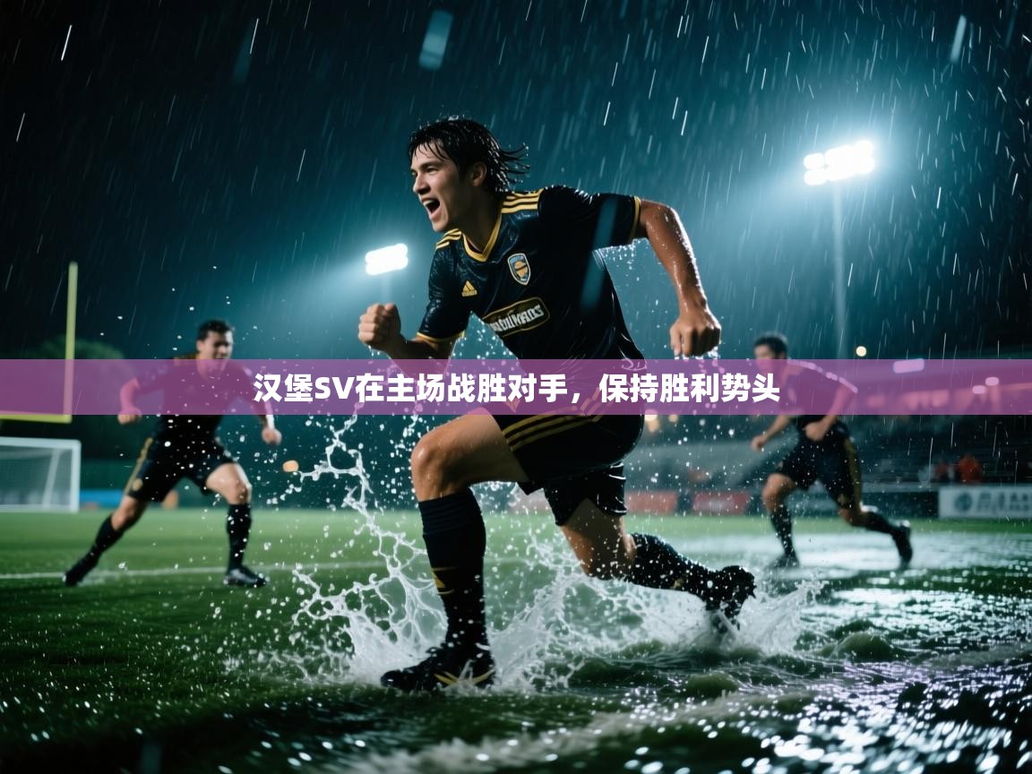 汉堡SV在主场战胜对手，保持胜利势头